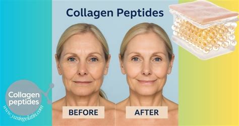 Arcane Peptides: 2026 Industry Data Reveals 45% Growth in Anti-Aging Skincare Formulations