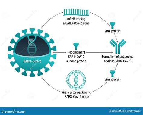 Semaglutide Peptides Sourcing Guide Purity Specifications Manufacturing Certifications for Lab Formulation