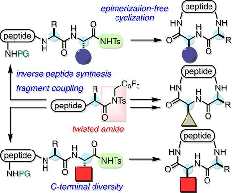 Peptide Benefits for Cosmetic Formulation Purity Specifications and Manufacturing Sourcing Guide