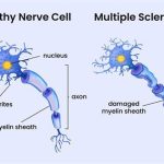 Extreme Peptides Market 2026: $2.8B Valuation Driven by 14.7% CAGR in Novel Therapeutics and Bioactive Discovery