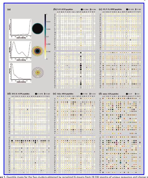 Cyclic Citrullinated Peptide IgG High Purity Specifications for Lab Sourcing and Manufacturing