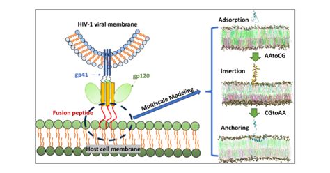 Glucagon Dose: A Checklist Guide for Accurate Peptide Product Application