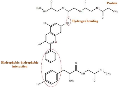 PT141 Peptide Market 2026: Breakthrough Research Data, Industry Growth Trends, and Product Comparison Guide