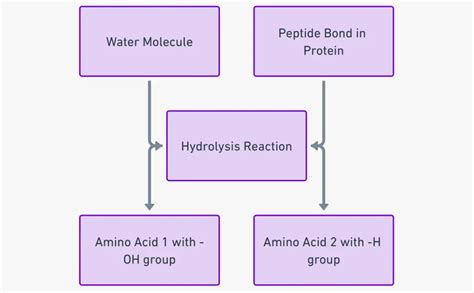 Jay Fineberg Multi-Peptide Brand Analysis: Market Trends, Ingredient Efficacy & Product Comparison