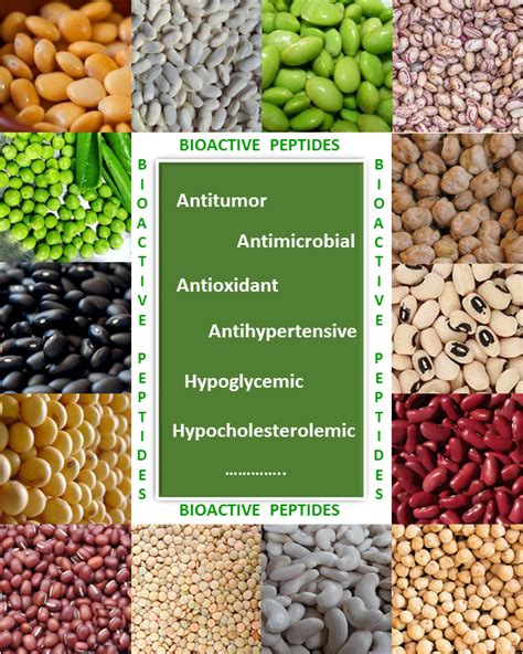 What Is a Peptide A Technical Deep Dive on Purity, Specifications, Manufacturing, and Sourcing