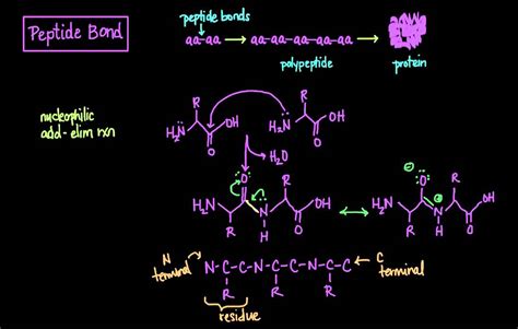 Peptides for Sale: Market Trends, Brand Comparisons, and Quality Certifications