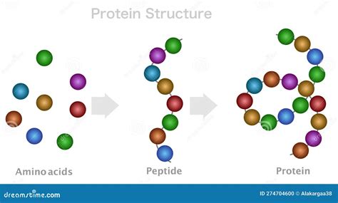 The Ordinary Multi-Peptide Serum: Purity, Specification & Manufacturing Sourcing Guide for Formulators