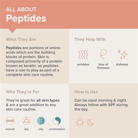 Peptide vs Protein: 2026 Market Data Reveals Peptide Drugs Growing 3x Faster in Clinical Trials