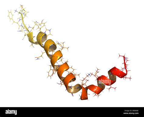 FinnRICK WBS Peptide Market Trends: Brand Comparison & Product Efficacy Data Analysis